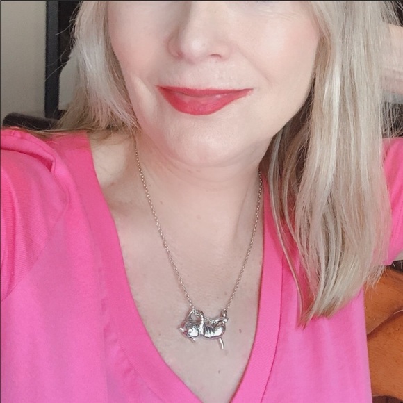 COPY - RESTOCKED Silvertone clinging cat necklace NIP - Picture 2 of 7